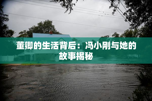 董卿的生活背后：冯小刚与她的故事揭秘