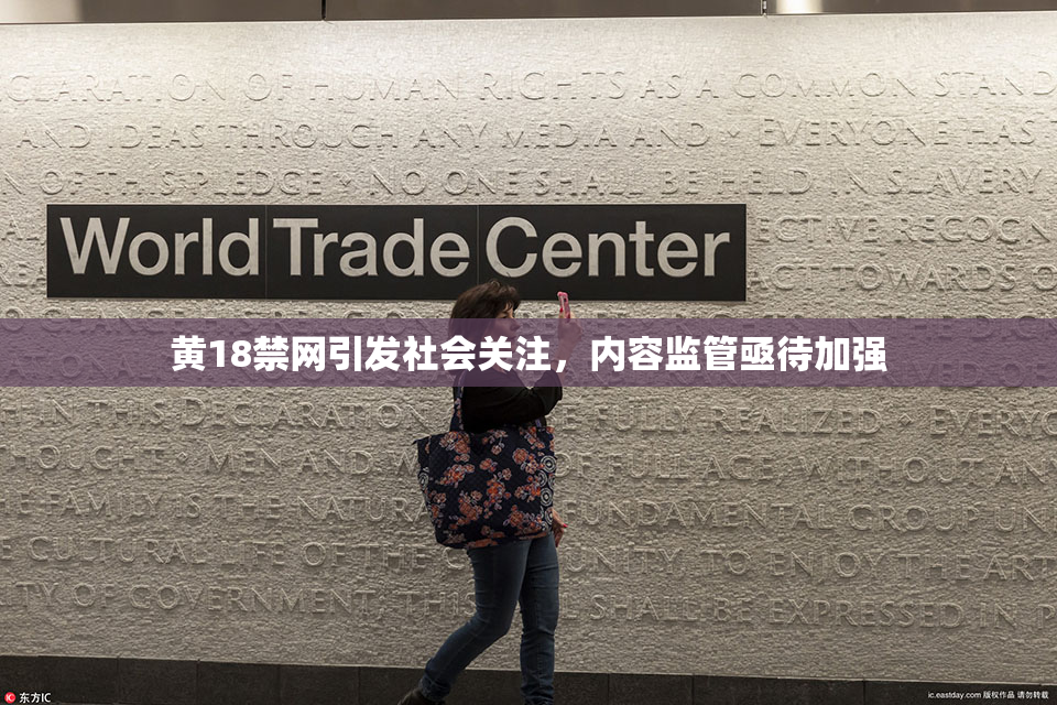 黄18禁网引发社会关注，内容监管亟待加强