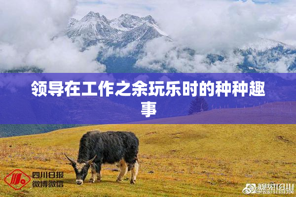领导在工作之余玩乐时的种种趣事