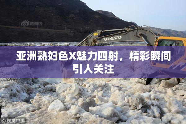 亚洲熟妇色X魅力四射，精彩瞬间引人关注
