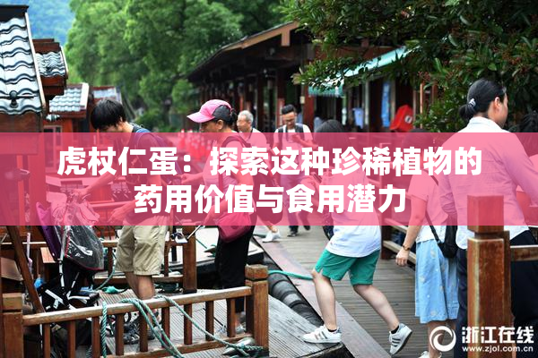 虎杖仁蛋：探索这种珍稀植物的药用价值与食用潜力