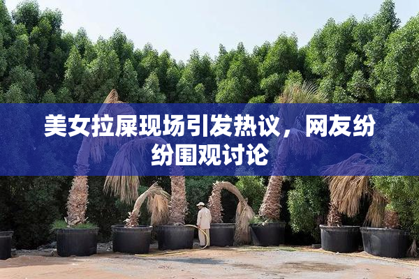 美女拉屎现场引发热议，网友纷纷围观讨论