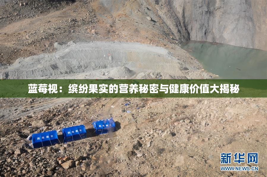 蓝莓视：缤纷果实的营养秘密与健康价值大揭秘