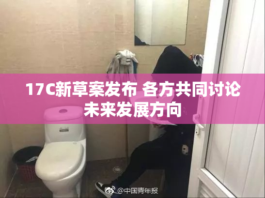 17C新草案发布 各方共同讨论未来发展方向
