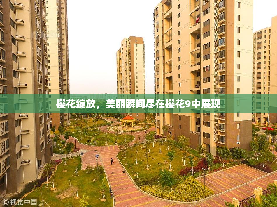 樱花绽放，美丽瞬间尽在樱花9中展现