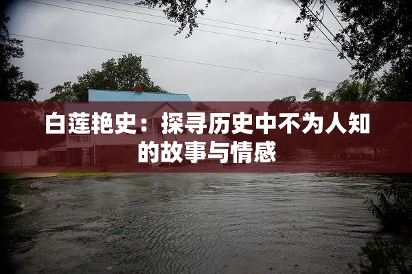 白莲艳史：探寻历史中不为人知的故事与情感