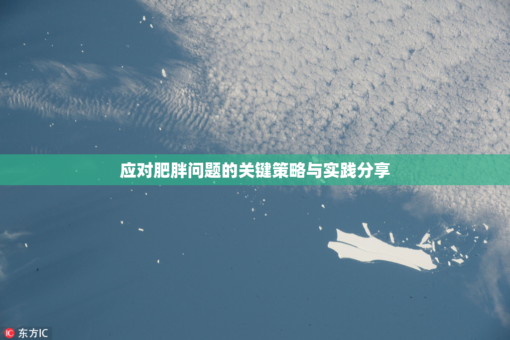 应对肥胖问题的关键策略与实践分享