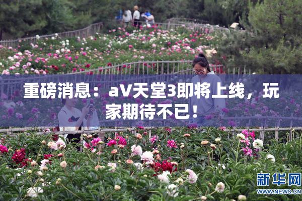 重磅消息：a∨天堂3即将上线，玩家期待不已！