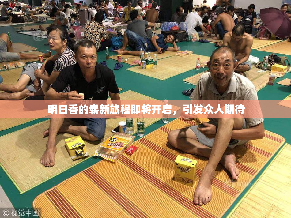 明日香的崭新旅程即将开启，引发众人期待