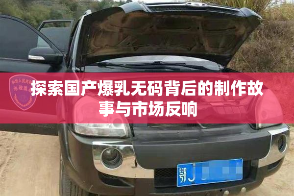 探索国产爆乳无码背后的制作故事与市场反响
