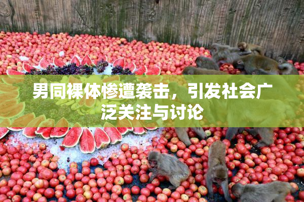 男同裸体惨遭袭击，引发社会广泛关注与讨论