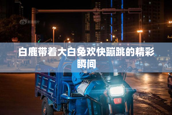 白鹿带着大白兔欢快蹦跳的精彩瞬间