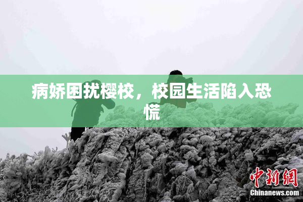 病娇困扰樱校，校园生活陷入恐慌