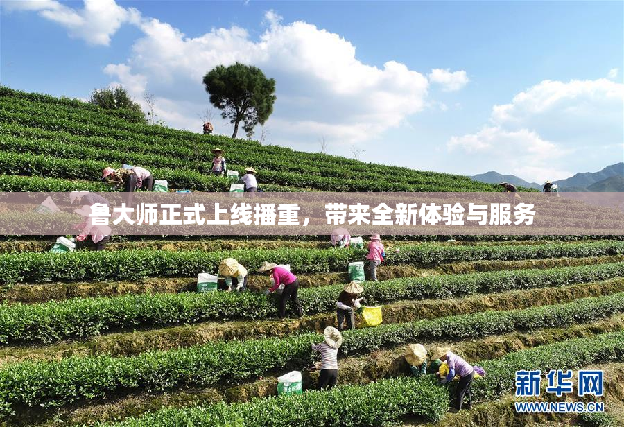 鲁大师正式上线播重，带来全新体验与服务