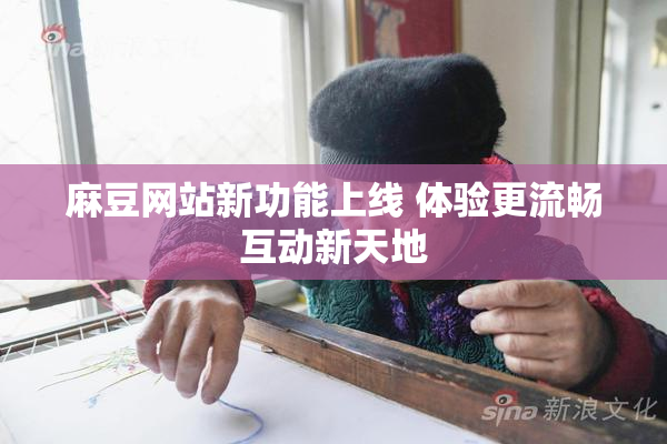 麻豆网站新功能上线 体验更流畅互动新天地