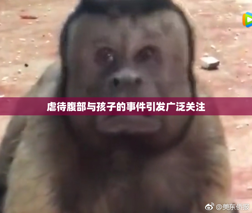 虐待腹部与孩子的事件引发广泛关注