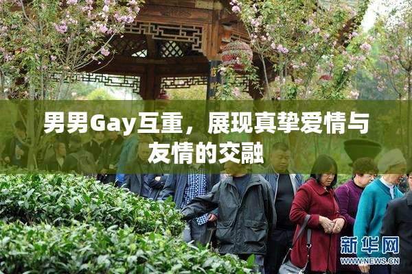 男男Gay互重，展现真挚爱情与友情的交融