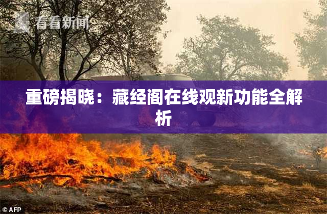 重磅揭晓：藏经阁在线观新功能全解析
