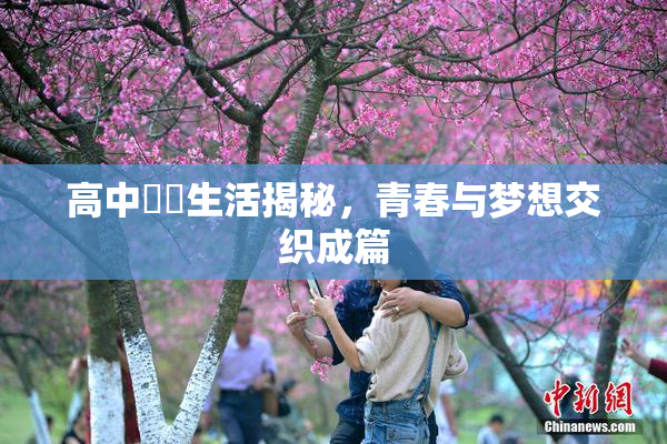高中妺妺生活揭秘，青春与梦想交织成篇