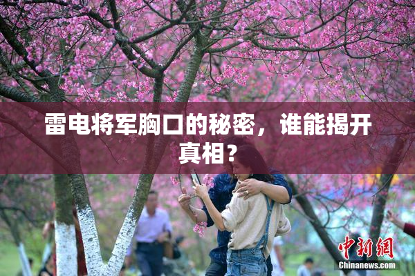 雷电将军胸口的秘密，谁能揭开真相？