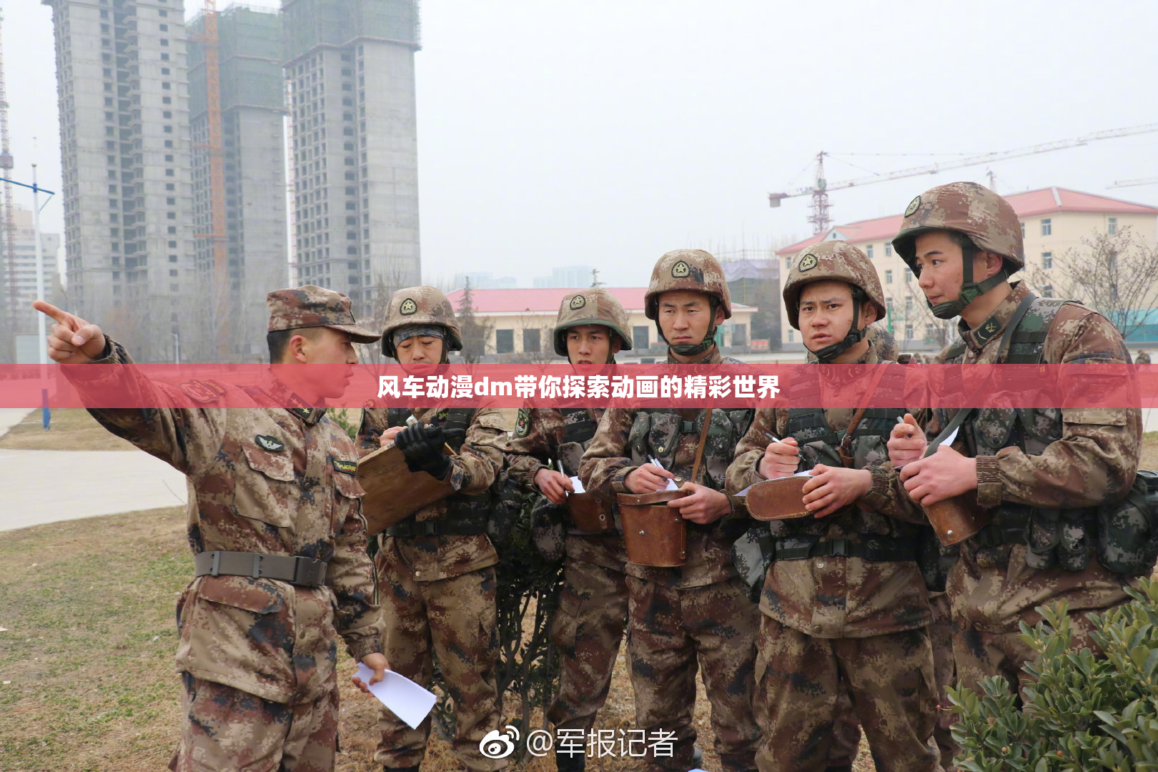 风车动漫dm带你探索动画的精彩世界