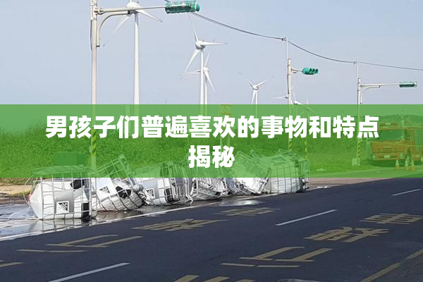 男孩子们普遍喜欢的事物和特点揭秘