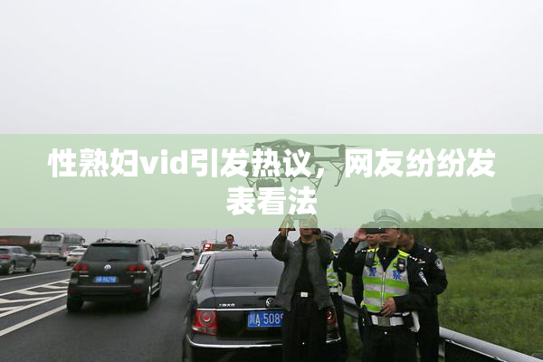 性熟妇vid引发热议，网友纷纷发表看法