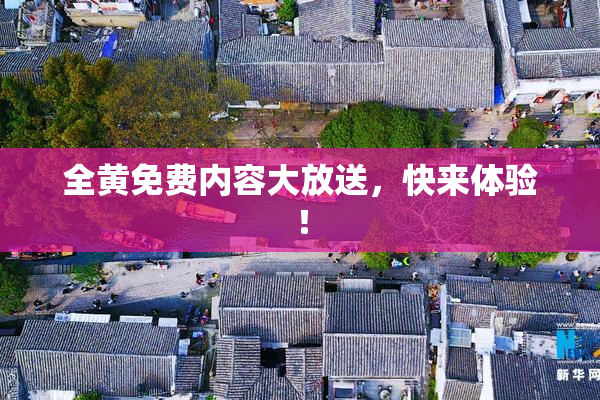 全黄免费内容大放送，快来体验！