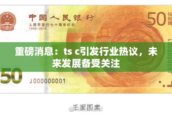 重磅消息：ts c引发行业热议，未来发展备受关注