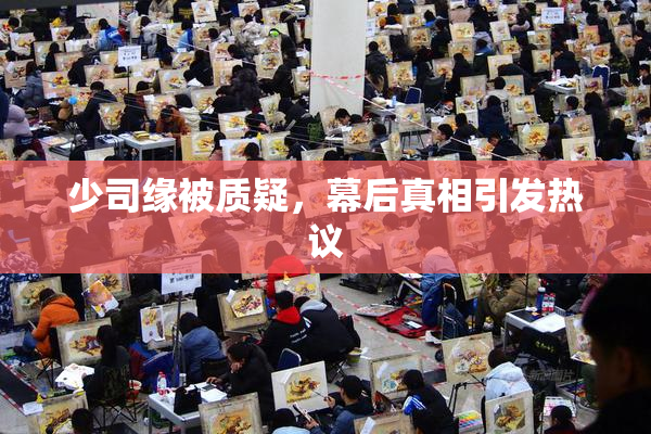 少司缘被质疑，幕后真相引发热议