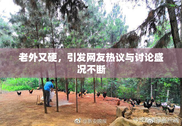 老外又硬，引发网友热议与讨论盛况不断