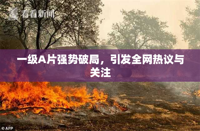 一级A片强势破局，引发全网热议与关注