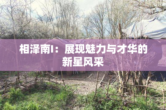 相泽南I：展现魅力与才华的新星风采