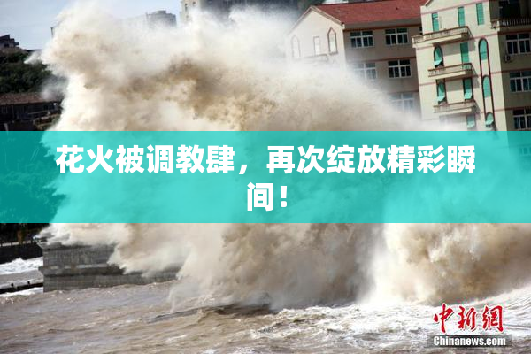 花火被调教肆，再次绽放精彩瞬间！