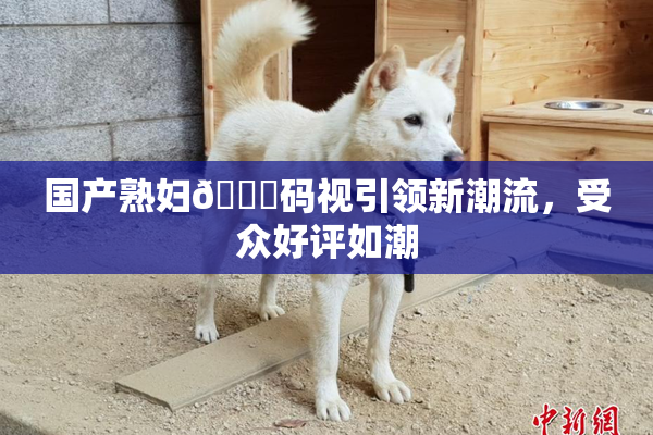 国产熟妇🈚码视引领新潮流，受众好评如潮