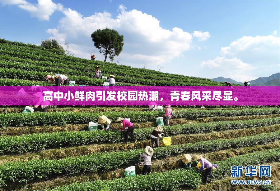 高中小鲜肉引发校园热潮，青春风采尽显。