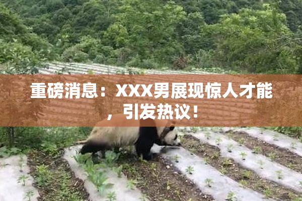 重磅消息：XXX男展现惊人才能，引发热议！