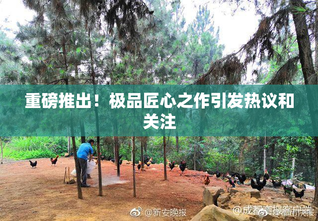 重磅推出！极品匠心之作引发热议和关注