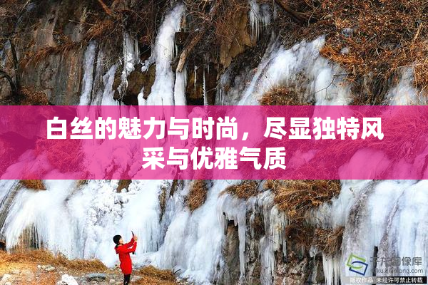白丝的魅力与时尚，尽显独特风采与优雅气质