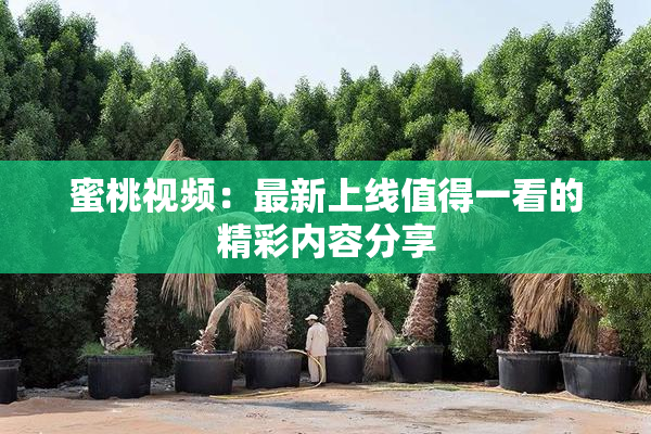蜜桃视频：最新上线值得一看的精彩内容分享