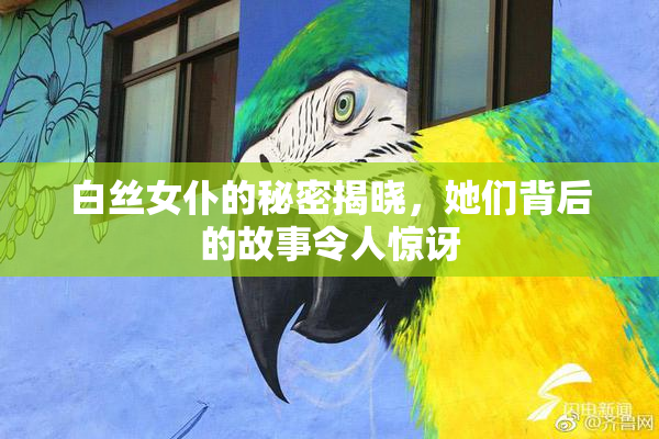 白丝女仆的秘密揭晓，她们背后的故事令人惊讶