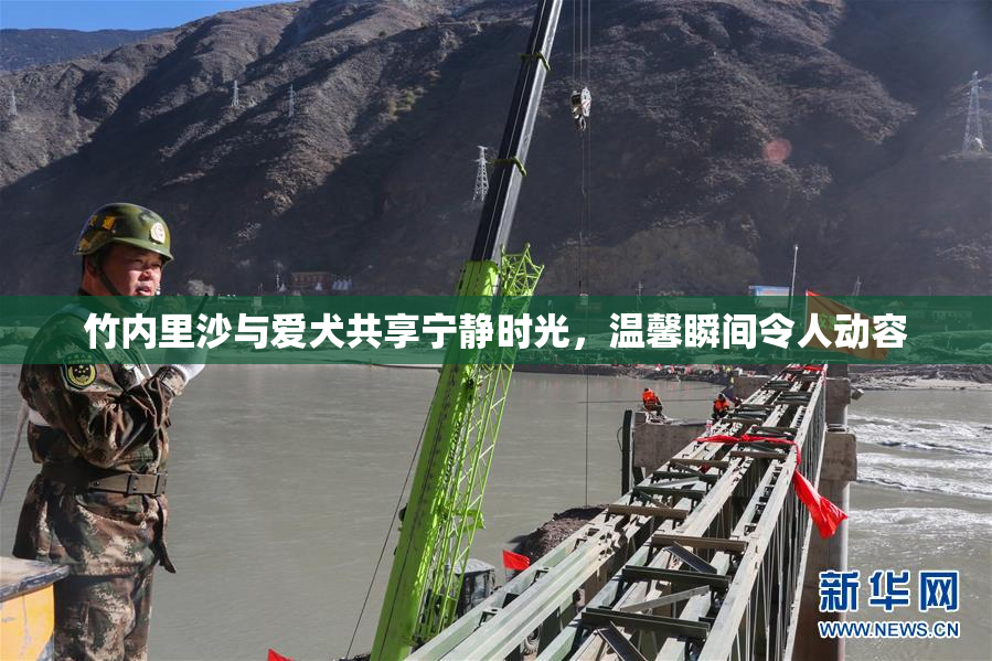 竹内里沙与爱犬共享宁静时光，温馨瞬间令人动容