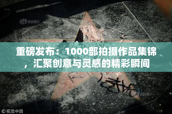 重磅发布：1000部拍摄作品集锦，汇聚创意与灵感的精彩瞬间