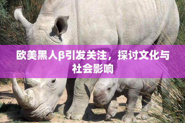 欧美黑人β引发关注，探讨文化与社会影响