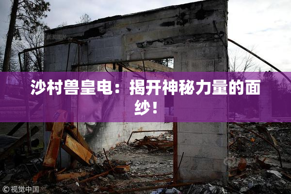 沙村兽皇电：揭开神秘力量的面纱！