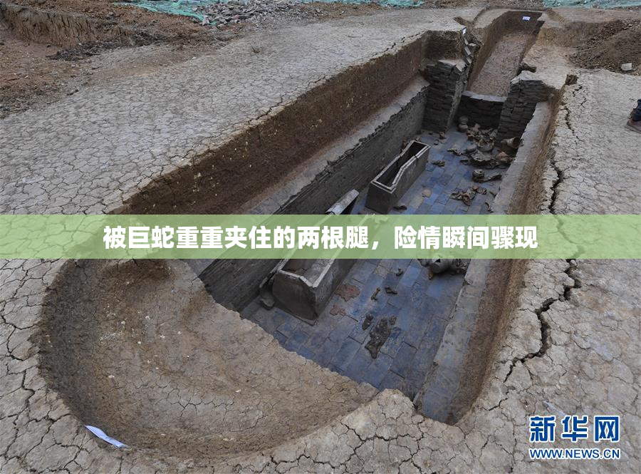 被巨蛇重重夹住的两根腿，险情瞬间骤现