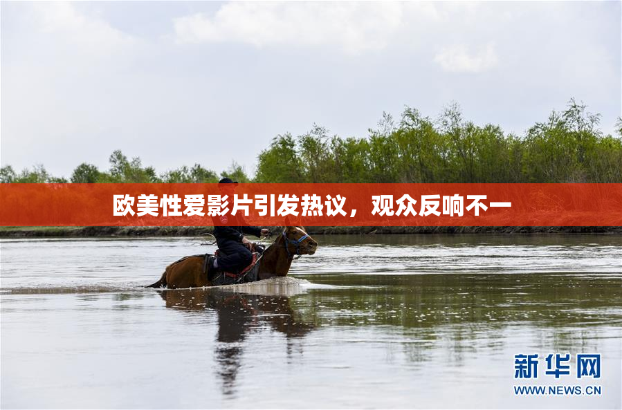 欧美性爱影片引发热议，观众反响不一