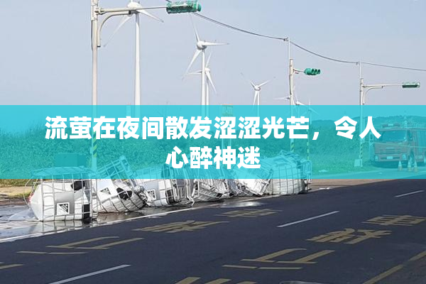 流萤在夜间散发涩涩光芒，令人心醉神迷