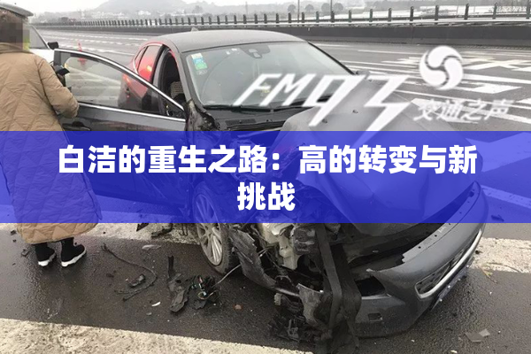 白洁的重生之路：高的转变与新挑战