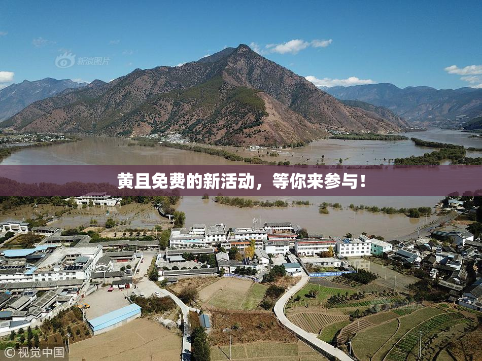 黄且免费的新活动，等你来参与！